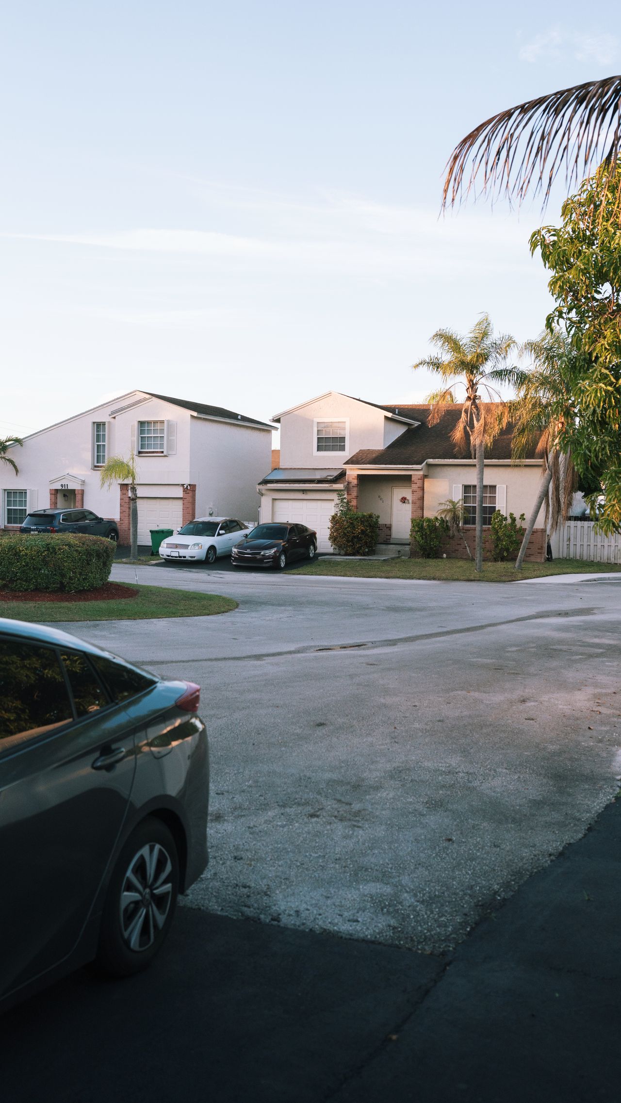 A Tampa, Florida residential neighborhood lined with palm trees